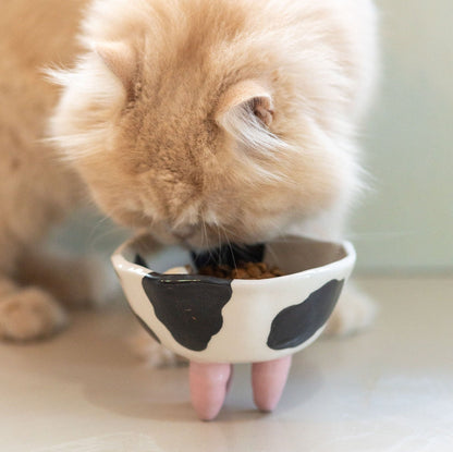 Cat Food Bowl - Pet Bowl