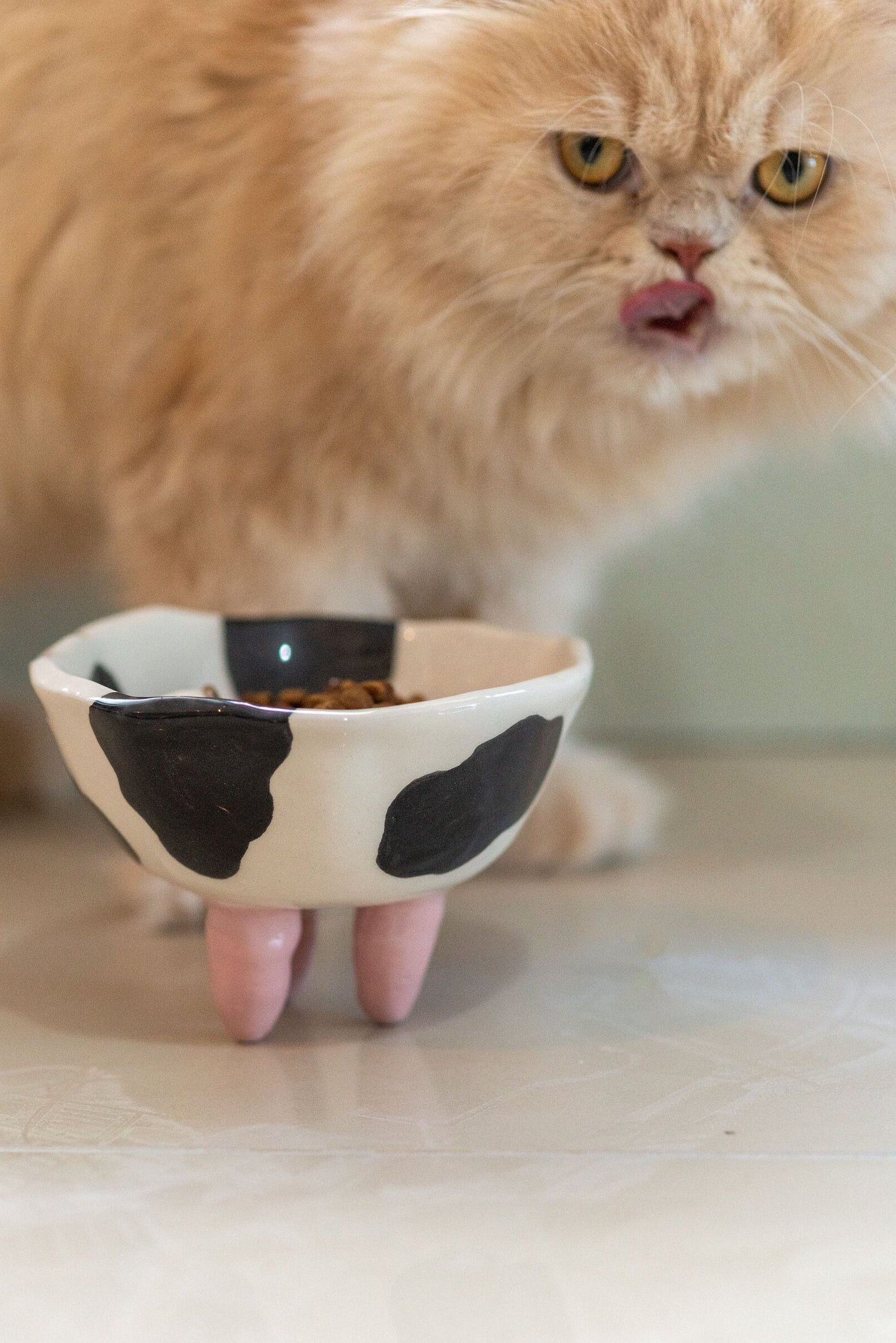 Cat Food Bowl - Pet Bowl