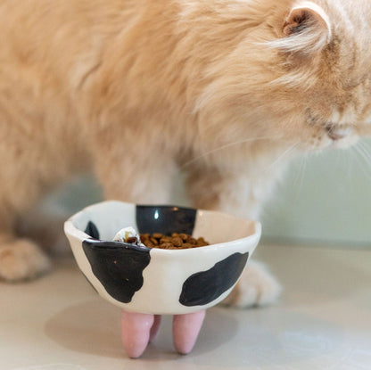 Cat Food Bowl - Pet Bowl